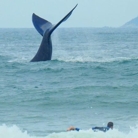 Tranquilidade Na Praia Da Gamboa Garopaba Exterior photo